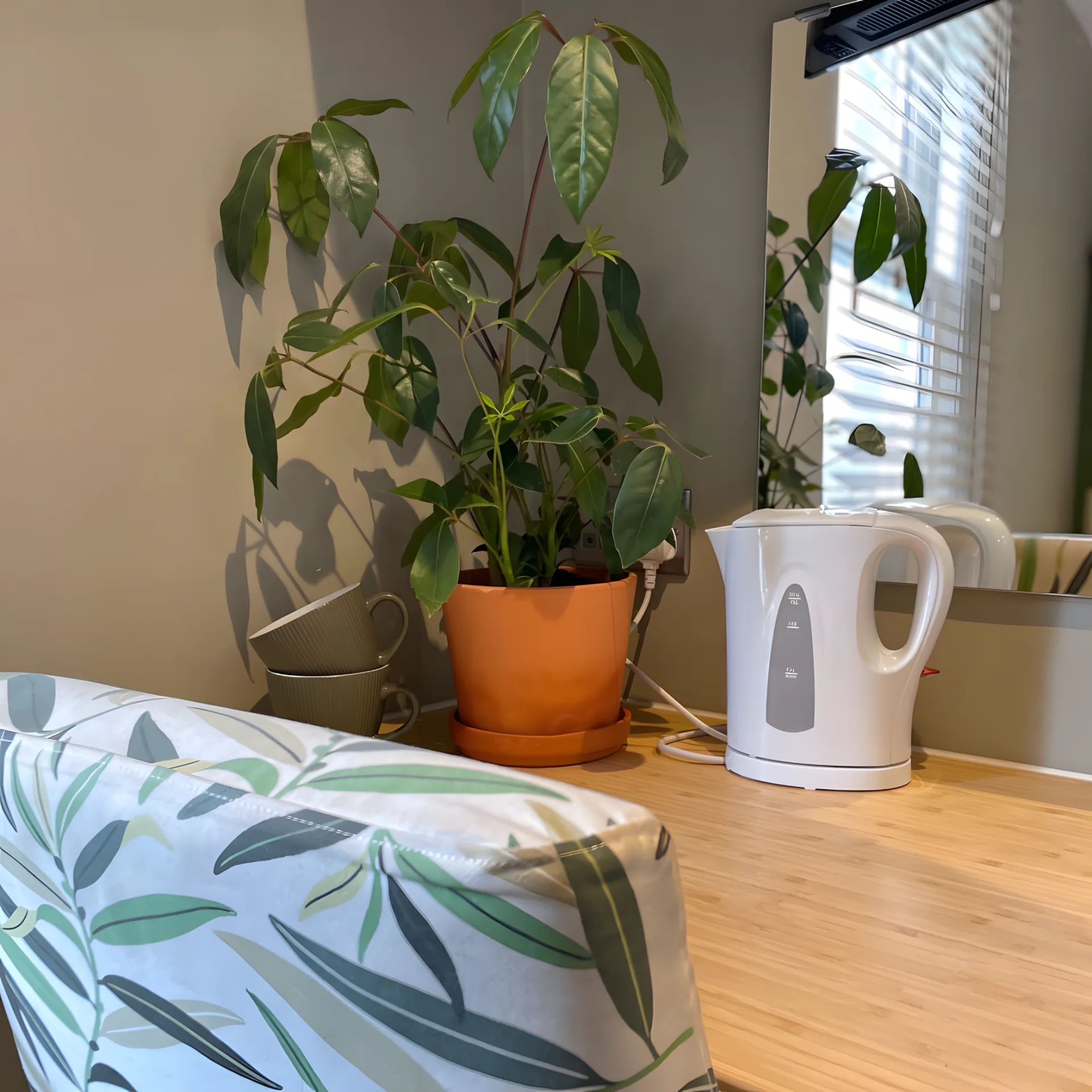 The Padovana kettle and plant